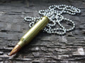 Fallout .223 raider Bullet Necklace brass 55gn FMJ (etsy image id: 5064340849)